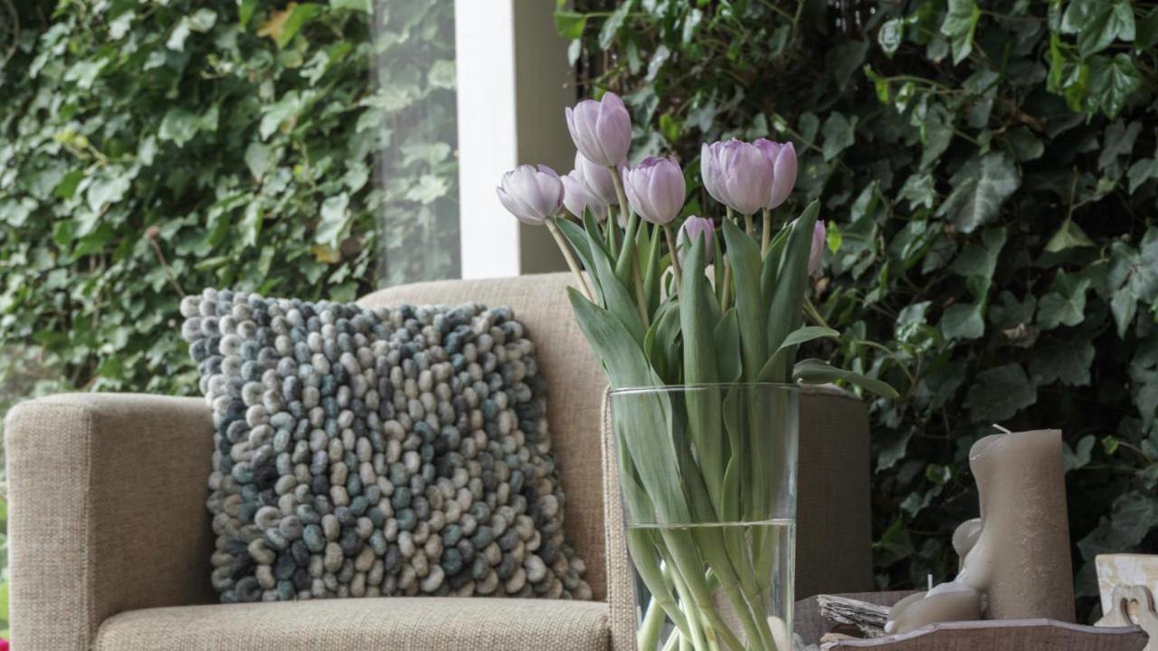 B&B Jardin - Schagen Εξωτερικό φωτογραφία