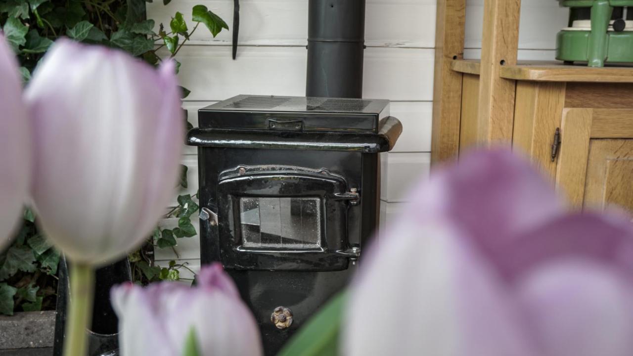 B&B Jardin - Schagen Εξωτερικό φωτογραφία